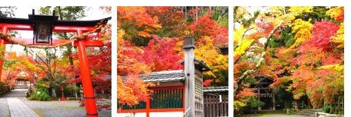 鍬山神社