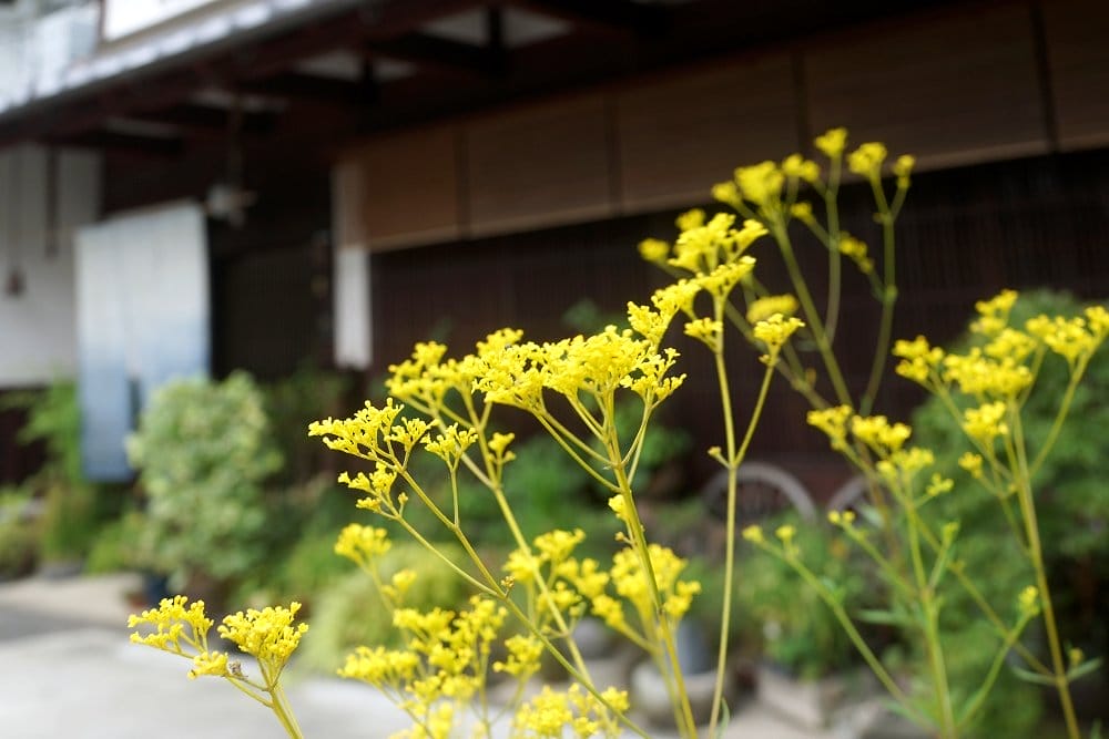 丹波亀山城下町