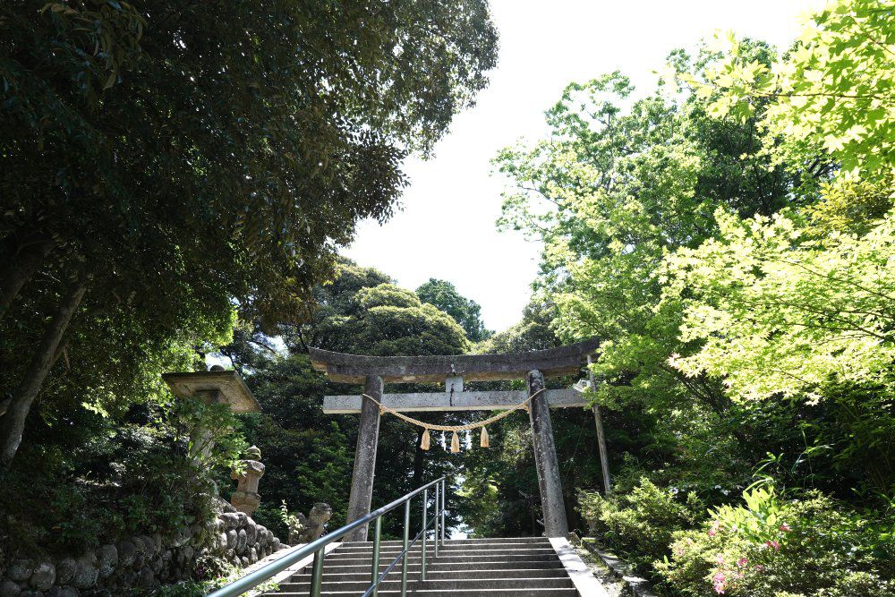 狛猫の神社