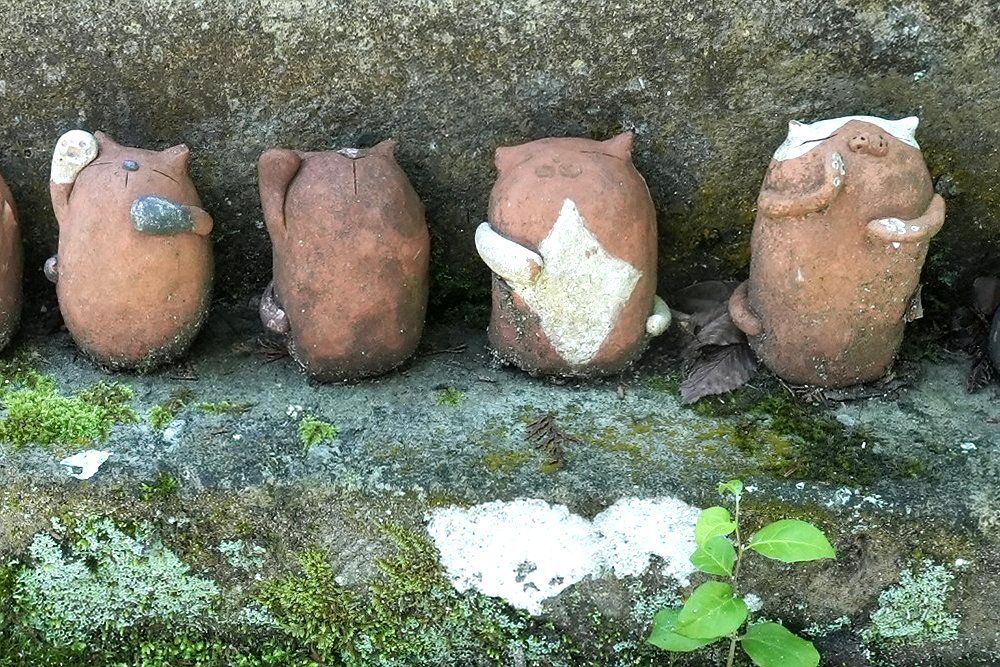 狛猫の神社