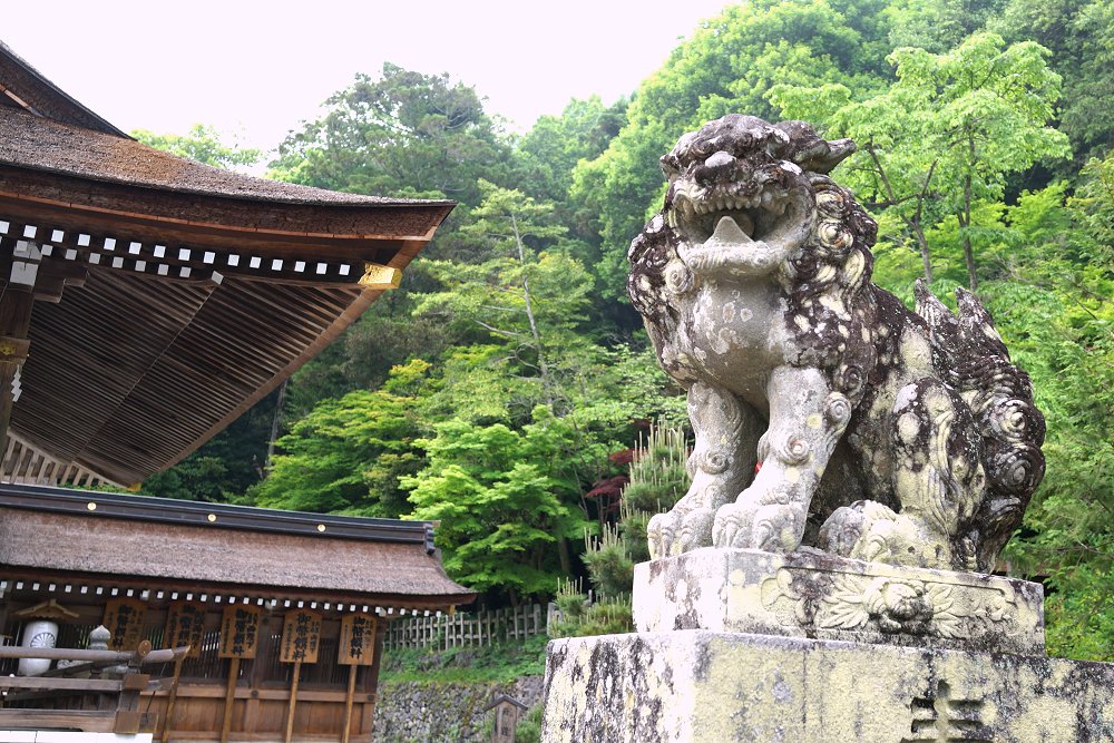 出雲大神宮