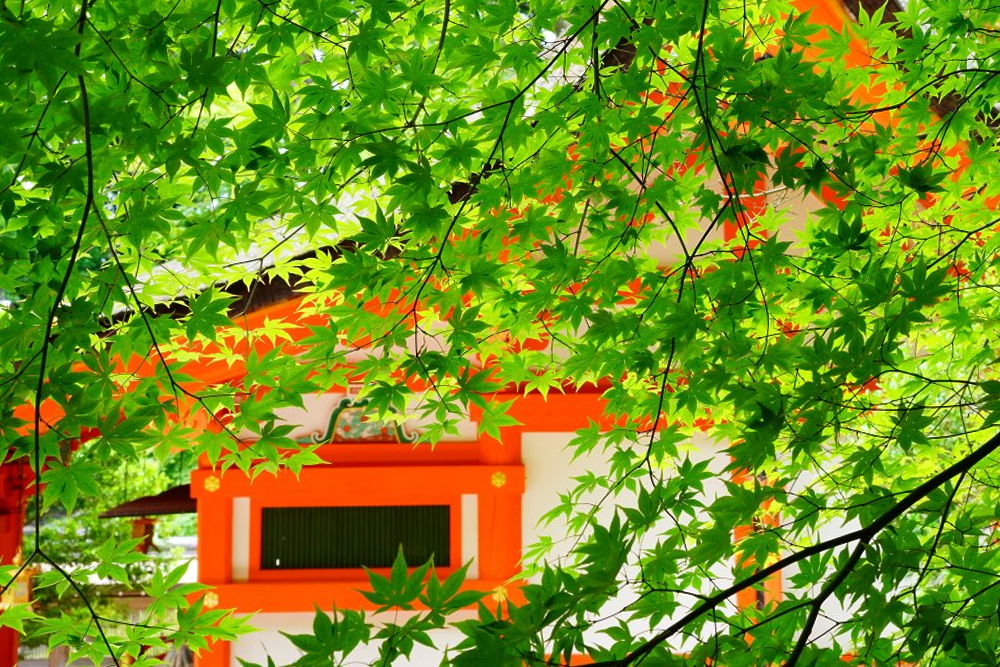 出雲大神宮