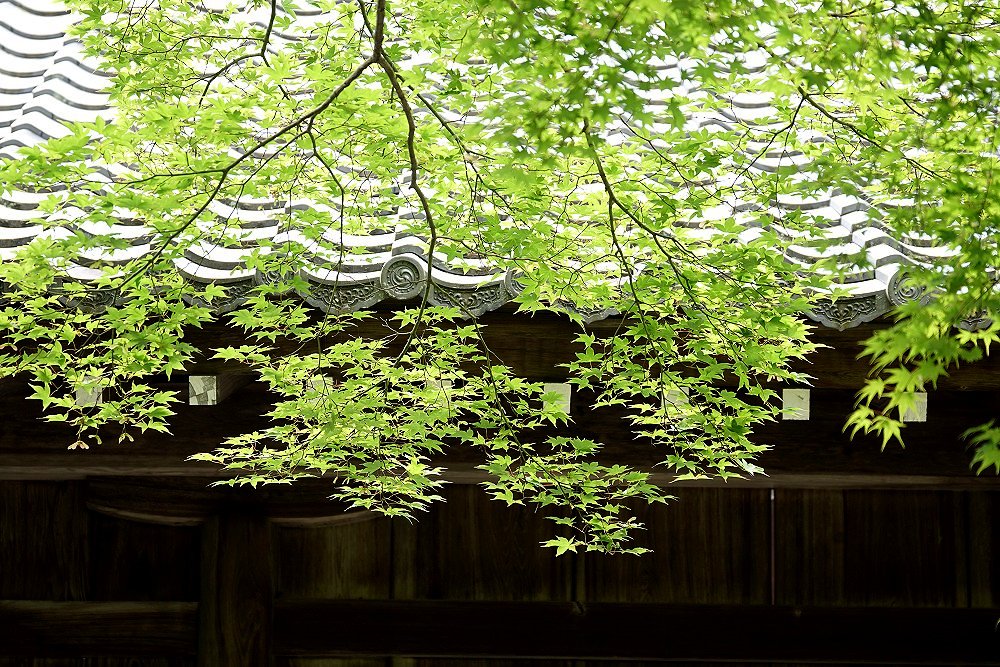 鍬山神社