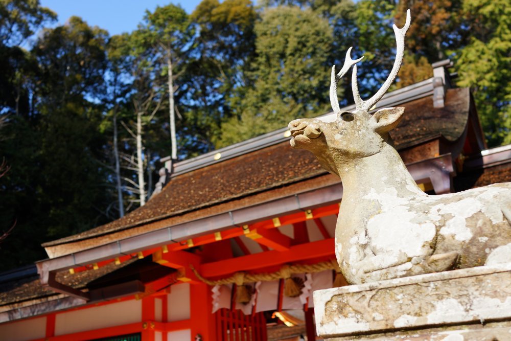 大原野神社