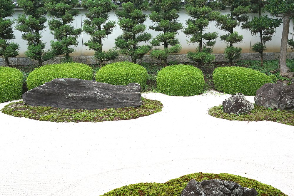 妙蓮寺