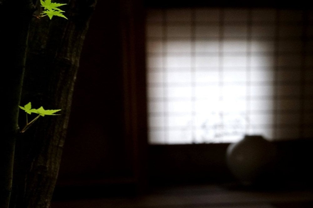 京都近代美術館