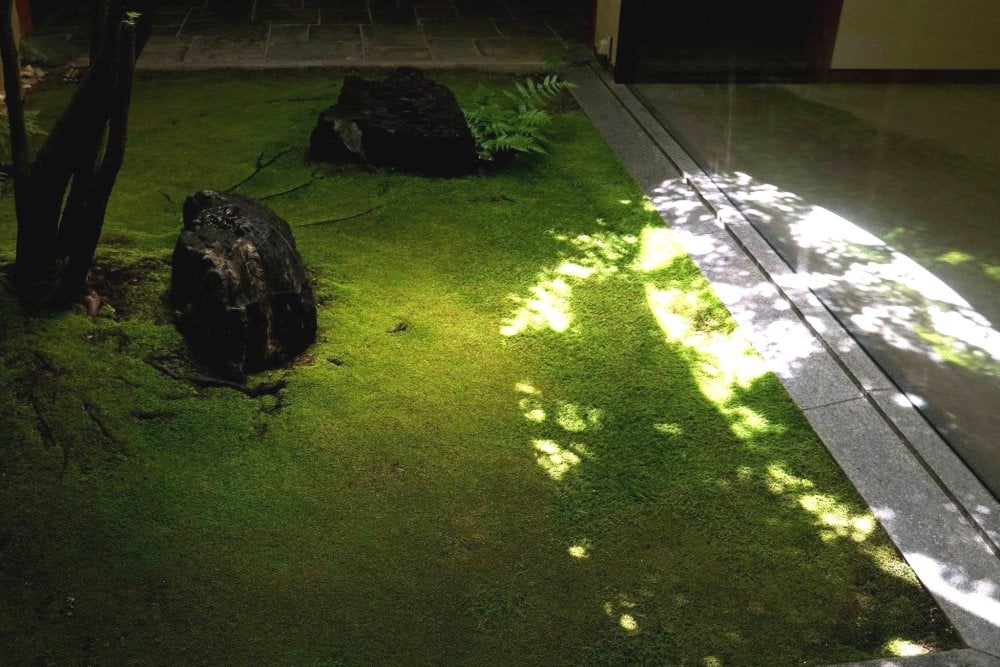 京都近代美術館