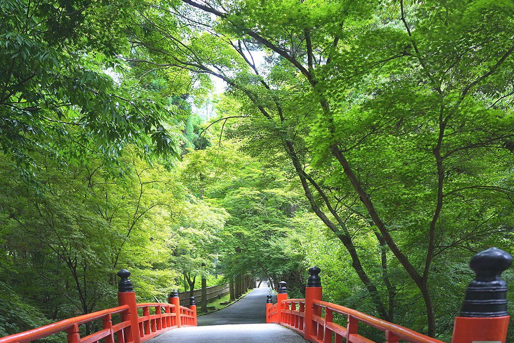 観音寺今熊野