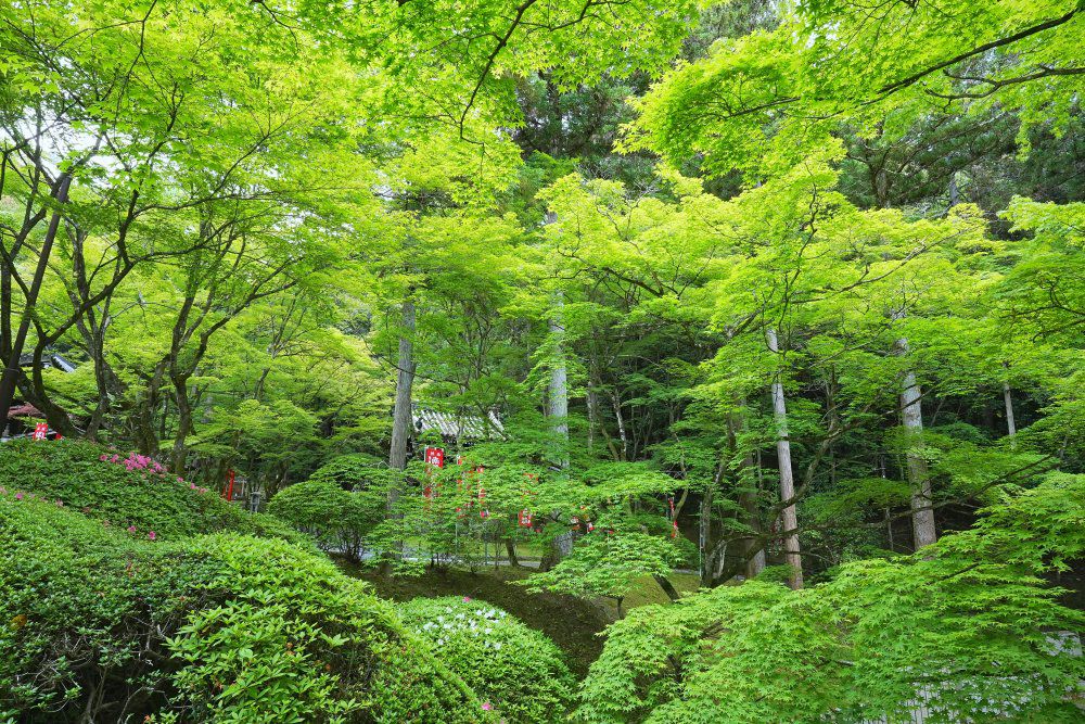 観音寺今熊野