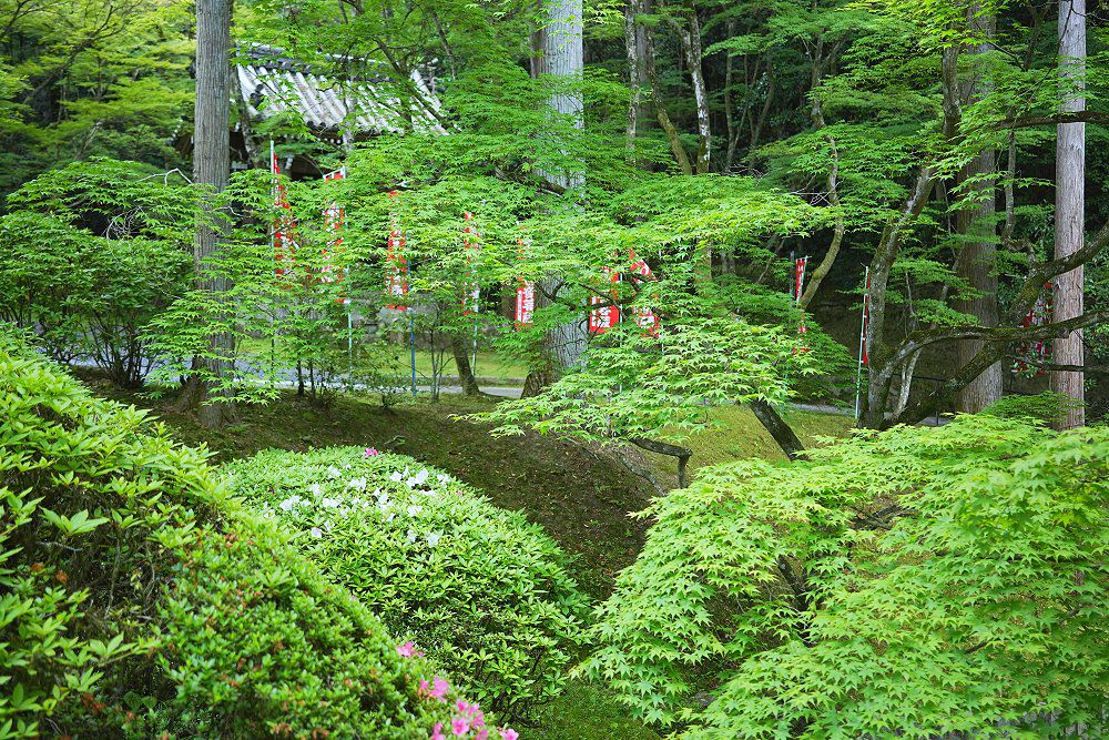 観音寺今熊野