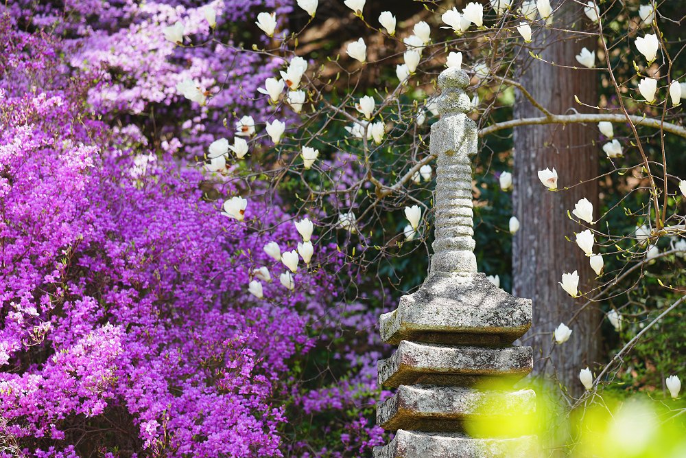 岩船寺