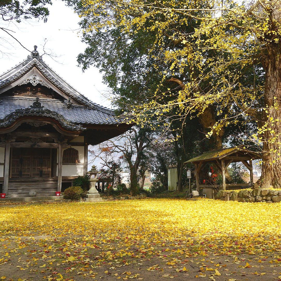 丹波国分寺