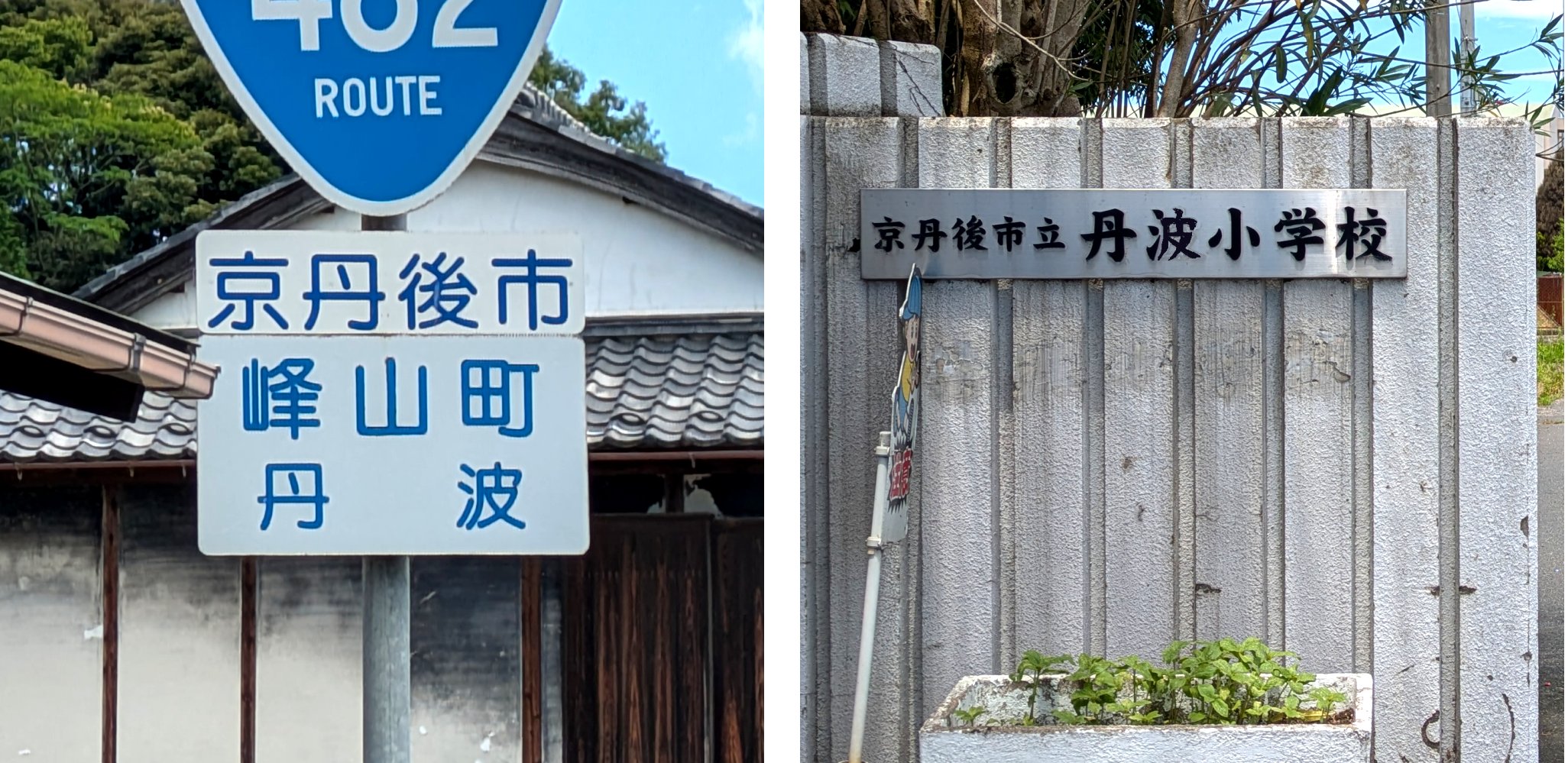 丹波